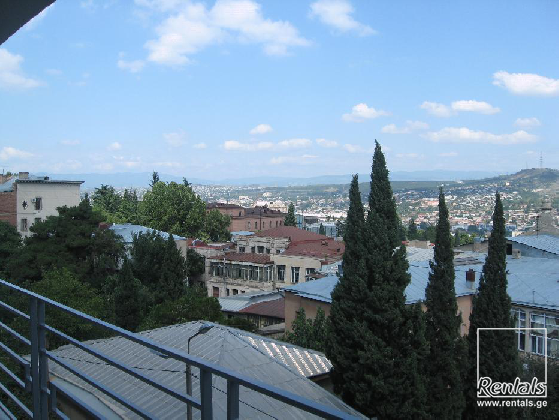 flat ( apartment ) For Rent  In Tbilisi , Mtatsminda; Gergeti