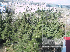 flat ( apartment ) For Rent  In Tbilisi , Saburtalo; Sairme Hill