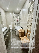 flat ( apartment ) For Rent  In Tbilisi , Vake; abashidze