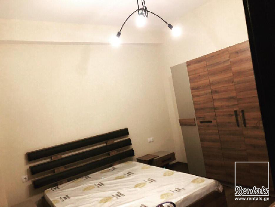 flat ( apartment ) For Rent  In Tbilisi , Bagebi; Tsknetis gzatketsili