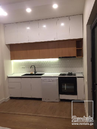 house For Rent  In Tbilisi , Saburtalo; Lisi