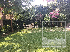 house For Rent  In Tsavkisi ,  Tsavkisi Valley