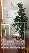 flat ( apartment ) For Sale Rent  In Tbilisi , Vera; Shio Mghvimeli